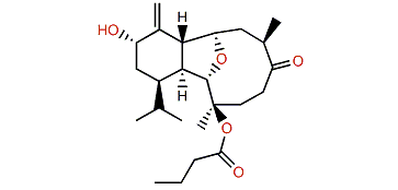 Litophynin J